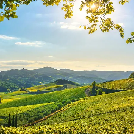 Chianti Private Panoramic Garden - Happy