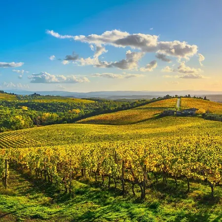 Chianti Private Panoramic Garden - Happy * Radda in Chianti